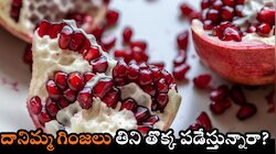దానిమ్మ గింజలు తిని తొక్క పడేస్తున్నారా? ఎప్పుడూ అలా చేయకండి.. ఎందుకంటే?