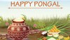 Pongal 2021 Date, Time And Significance: మకర సంక్రాంతి తేదీలు, ముహూర్తం.. పండుగ ప్రాముఖ్యత