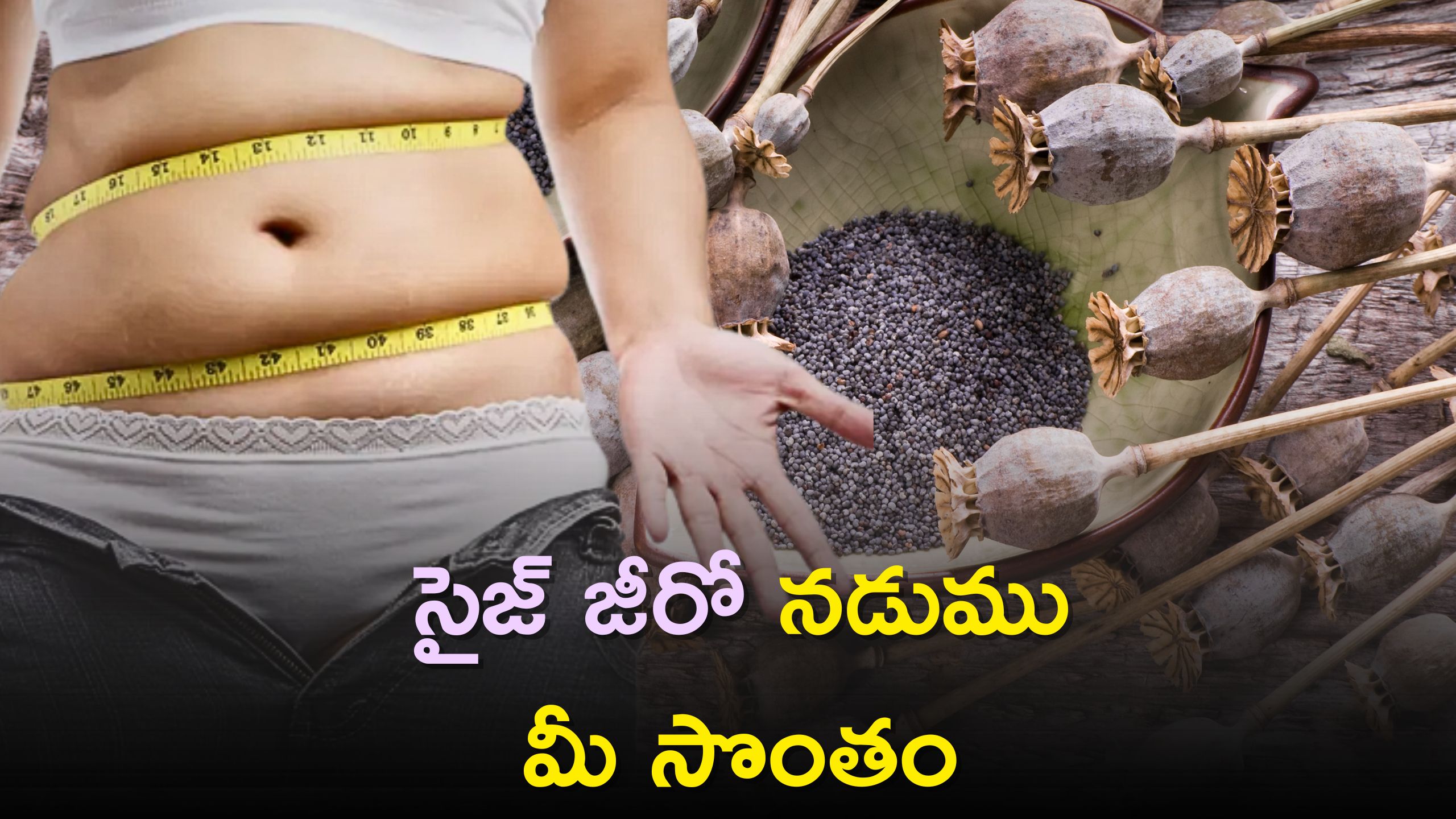 Belly Fat: ఈ గింజలను తింటే బెల్లీ ఫ్యాట్‌ కరిగి సన్నని నడుము పొందడం ఖాయం!