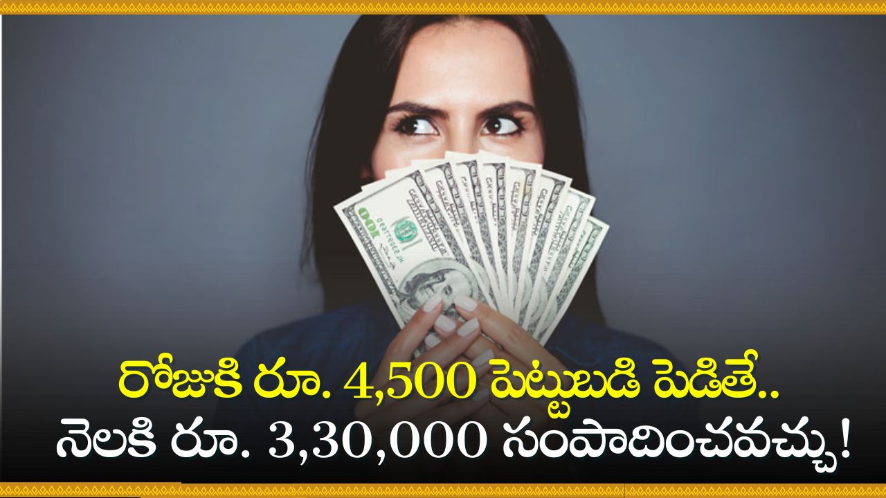 Small Business Ideas: రూ. 4,500 పెట్టుబడి పెడితే.. నెలకి రూ.3,30,000 సంపాదించవచ్చు! 