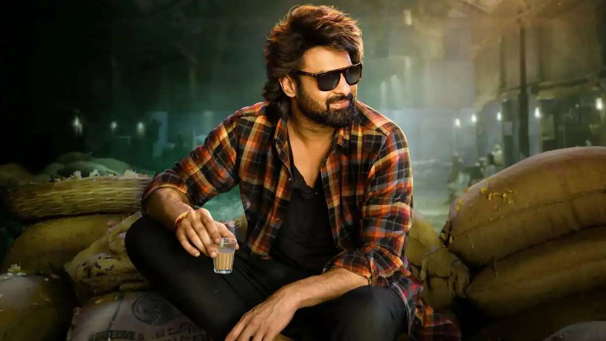 Prabhas Wig 
