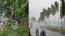 Heavy Rain Fall:వామ్మో..తీవ్ర వాయుగుండం ఎఫెక్ట్..శ్రీకాకుళంలో దంచికొడుతున్న వర్షాలు