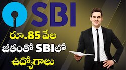 Sbi Bank Recruitment 2025: రూ.85 వేల జీతంతో SBIలో ఉద్యోగాలు.. డిగ్రీ ఉంటే చాలు మీ పంట పండినట్లే..  