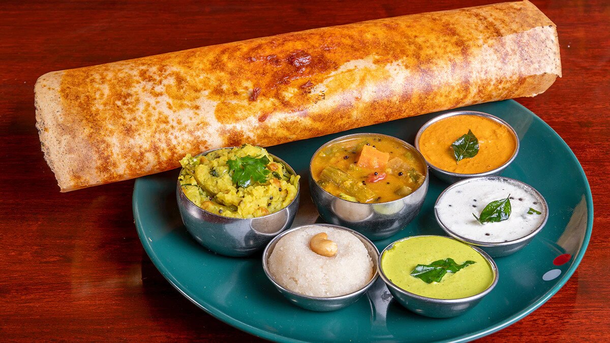 Venne Cotton Dosa