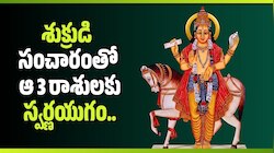 Venus Transit: శుక్రుడి సంచారంతో ఆ 3 రాశులకు స్వర్ణయుగం.. మీ రాశి ఉందేమో చూడండి! 