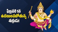 Venus Rising 2026: ఫిబ్రవరి 1న ఉదయించబోతున్న శుక్రుడు.. ఈ రాశులవారికి బంపర్‌ జాక్‌పాట్! 