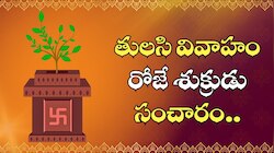 Venus Transit 2025: తులసి వివాహం రోజే శుక్రుడు సంచారం.. 3 రాశుల వారికి లక్ష్మీదేవి ఆశీస్సులు.. ఏం చేసినా డబ్బే, డబ్బు!