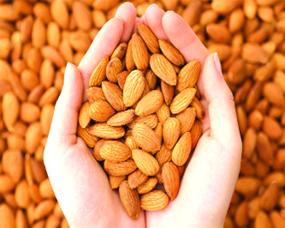 Almond For Weight Loss