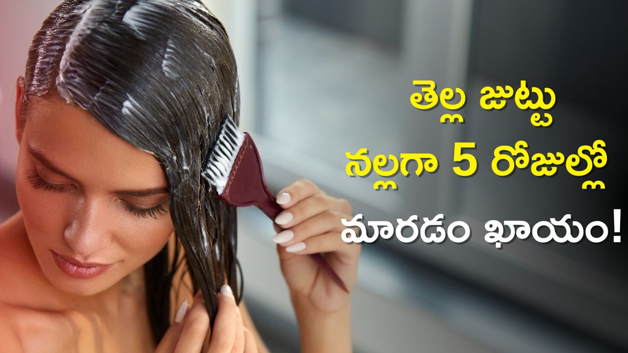 Turn White Hair to Black in 5 Days: తెల్ల జుట్టును 5 రోజుల్లో నల్లగా మార్చే కలబంద మరియు ఆలివ్ ఆయిల్ 