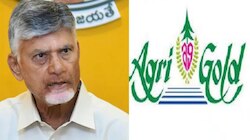 AgriGold:అగ్రిగోల్డ్ బాధితులకు గుడ్‌న్యూస్.. ఏపీ కేబినెట్ కీలక నిర్ణయం..!