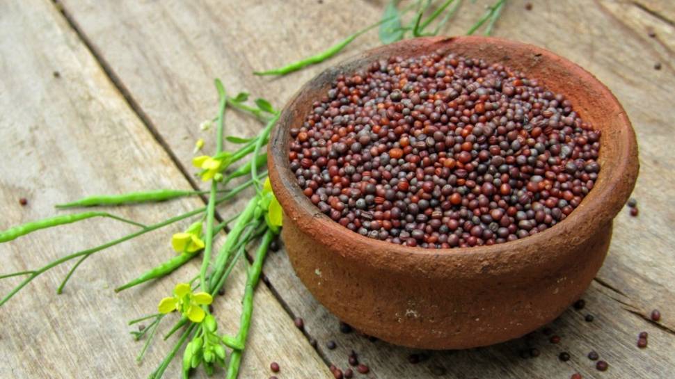 Mustard Seeds  