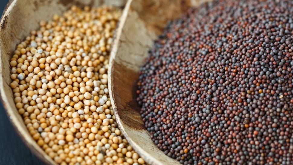 Mustard Seeds Benefits