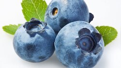 Blueberry: నీలిరంగులో చూడడానికి చిన్న పండే.. కానీ మనకు సంపూర్ణ ఆరోగ్యం