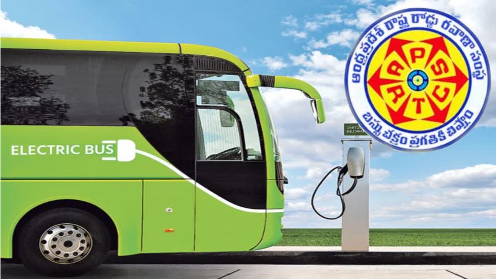 free bus for womens: