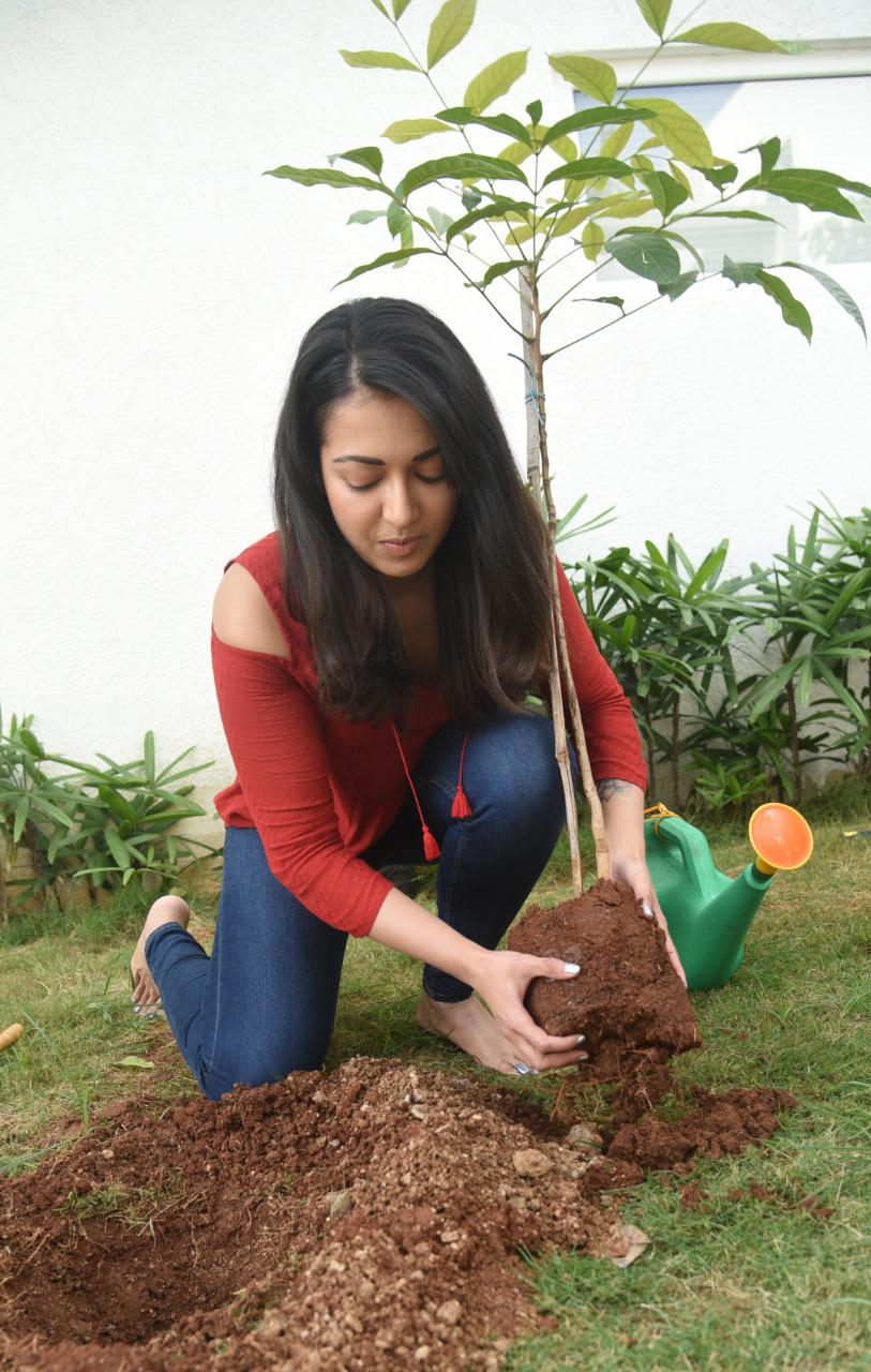 Beautiful Catherine tresa accepted the green challenge, photos viral