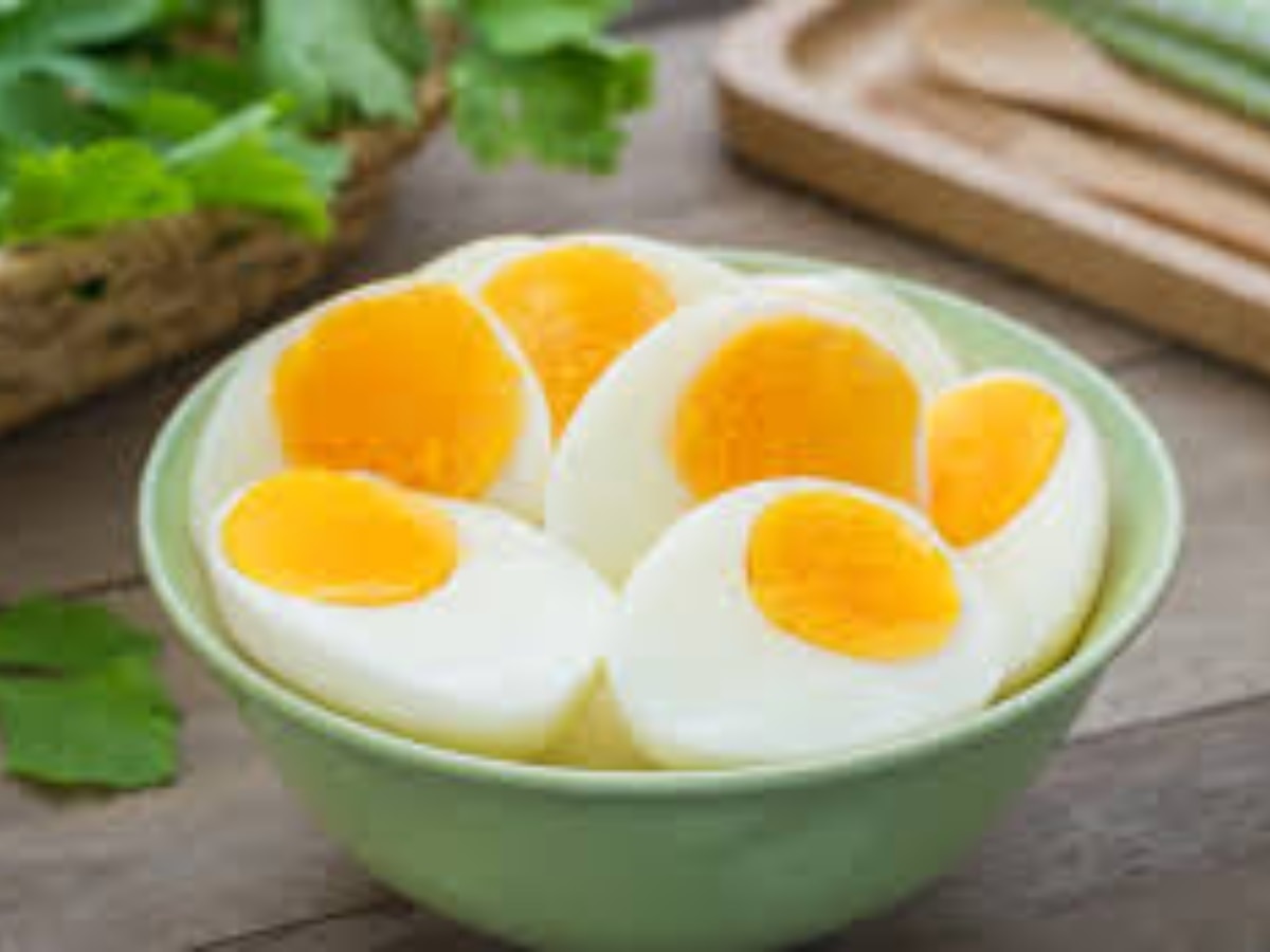 Egg White vs Egg Yellow know which part of egg contains rich with