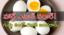 Eggs Daily: గుడ్డు ఆరోగ్యానికి వెరీగుడ్..! రోజుకు 2 గుడ్లు తింటే అద్భుతాలే