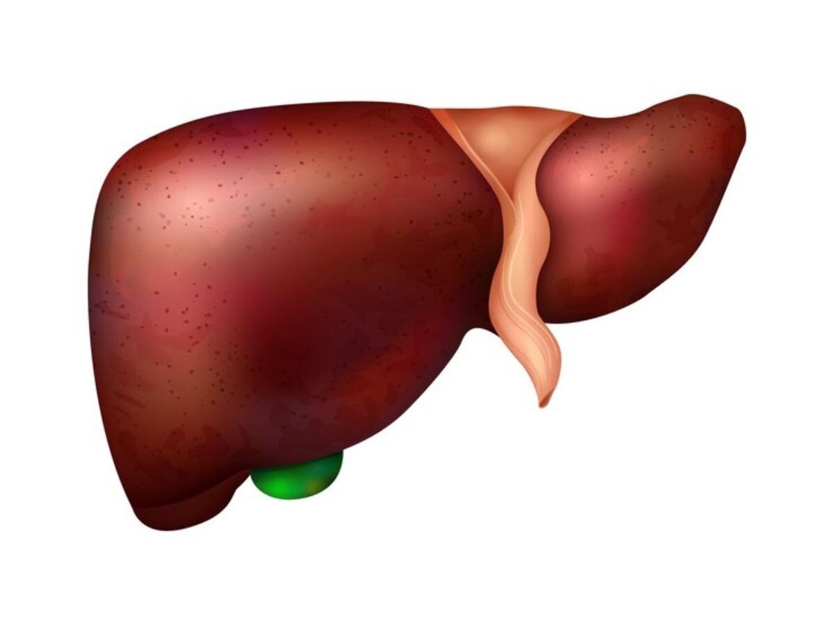 Fatty Liver Problem: ఫ్యాటీ లివర్ అంత ప్రమాదకరమా, ఈ 5 జాగ్రత్తలు తీసుకోండి