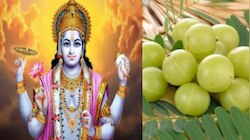 Amalaki Ekadashi: అమలకి ఏకాదశి ఎప్పుడు..?.. దీని విశిష్టత.. ఈ ఒక్కపనిచేస్తే జీవితంలో