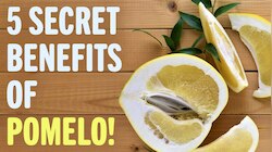 Chakotra Fruit Benefits: రాత్రి పడుకునే ముందు ఈ పండు తింటే  45 రోజులు షుగర్‌ కంట్రోల్‌.. ఇది ఎక్కడ దోరికిన వదలకండి!
