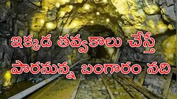 Gold Mines: దేశంలో టాప్‌ -5 బంగారు గనులు ఇవే! ఇక్కడ తవ్వితే రూ.50 వేలకే తులం బంగారం