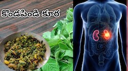 Kidney Health: కిడ్నీలో రాళ్లను కరిగించే.. పల్లెటూరి ఔషధం.. వండకుని తింటే కొండలు సైతం పిండి అవ్వాల్సిందే..!! 
