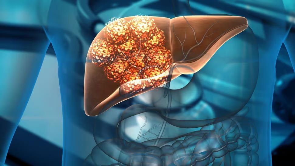 Liver Damage Symptoms