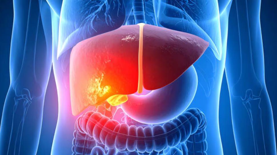Liver Damage Symptoms