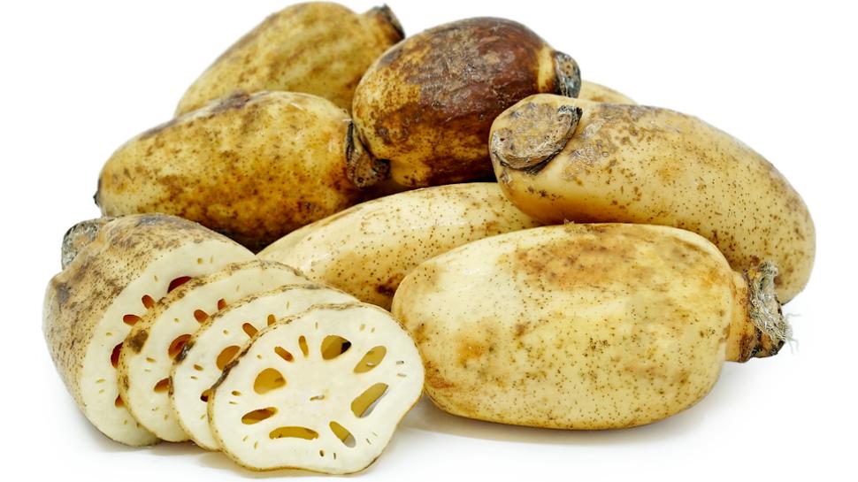 Lotus Roots  