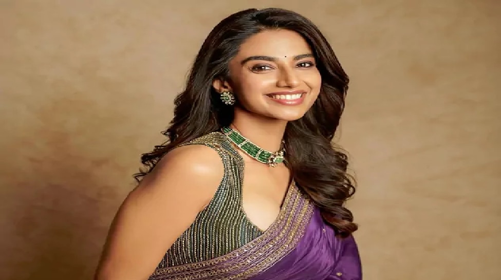Meenakshi Chaudhary Career Struggles 