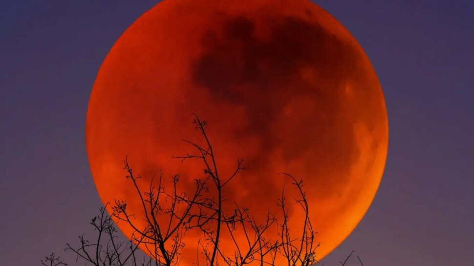 Blood Moon 