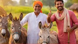 Central Govt Scheme : గాడిదలు పెంచితే రూ.50 లక్షలు.. మోదీ సర్కార్ అందిస్తున్న స్కీమ్‌ గురించి తెలుసుకోండి! 