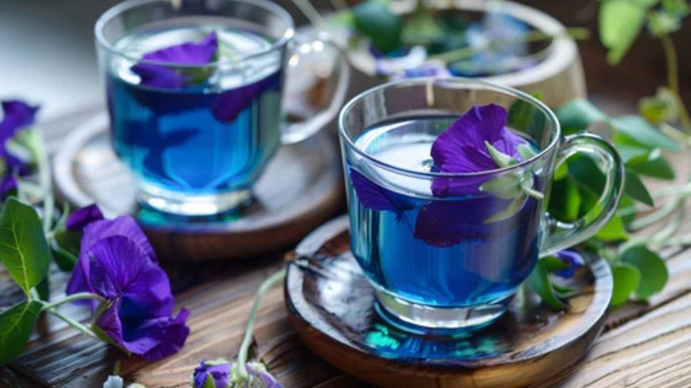 Do you know the medicinal properties of blue tea | Blue Tea: కళ్లకు ...