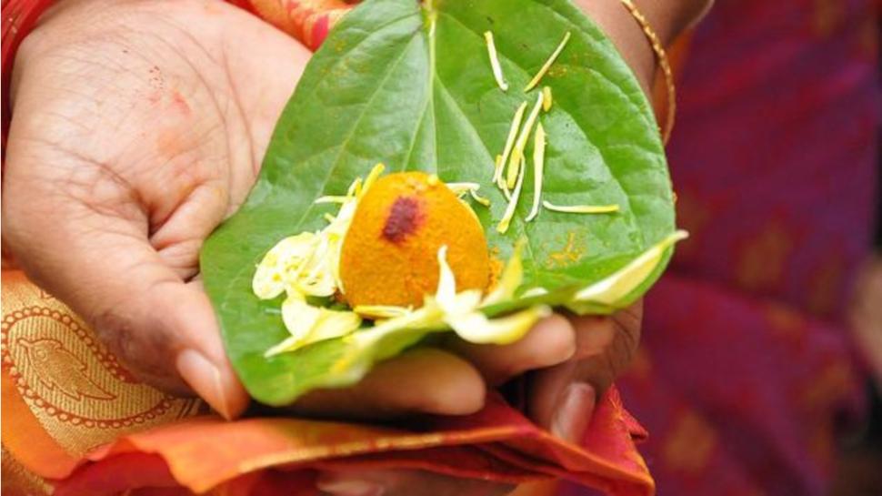 Pitru dosh: