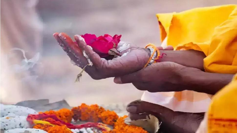 Pitru dosh effect: