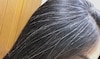 White Hair Telugu Pack