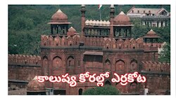 నల్ల రంగులోకి మారుతున్న ఎర్రకోట.. శాస్త్రవేత్తల పరిశోధనలో విస్తుపోయే నిజాలు