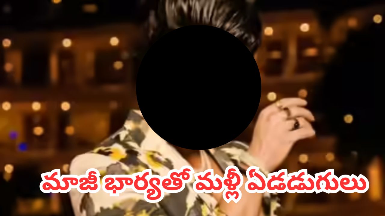 ఏళ్ల క్రితం విడిపోయారు.. ఇప్పుడు మళ్లీ పెళ్లి చేసుకుంటున్నారు