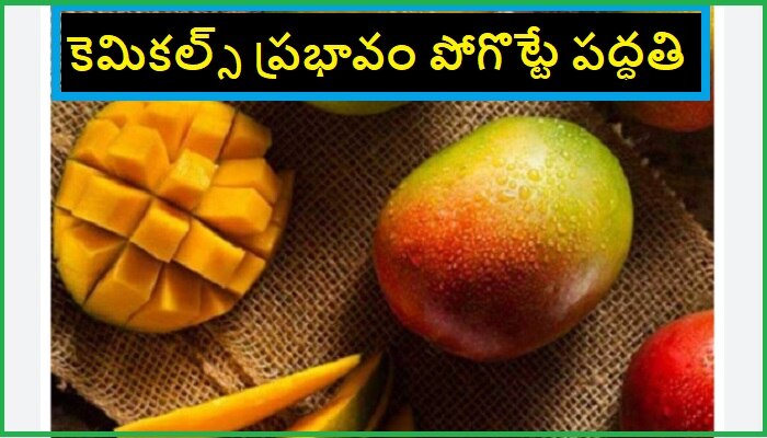 Mangoes Eating Tips: మామిడి పండ్లను మీరు కూడా అలాగే తింటారా ?