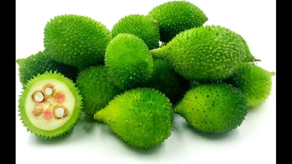 Spiny gourd boda kakarakaya health benefits and uses in monsoon Season ...