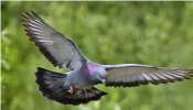 Astrology tips and moles signs, what they means, moles on ...