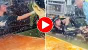 Crocodile Viral Video: బర్త్ డే సందర్భంగా మొసలికి కేక్ పెడదామనుకుంది.. మూల్యం చెల్లించుకుంది!