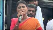 Ys Sharmila: వైఎస్‌ఆర్ ఉంటే కాంగ్రెస్‌పై ఉమ్మి వేసేవారు..షర్మిల సంచలన వ్యాఖ్యలు..!