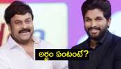 Allu Arjun Chikababi: అల్లు అర్జున్ చిరంజీవిని ఏమని పిలుస్తాడో తెలుసా? &#039;చికాబాబి&#039; అర్ధం ఏంటంటే?