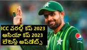 Pakistan In ICC World Cup 2023: ఐసిసి వరల్డ్ కప్ కోసం పాకిస్థాన్ టీమ్ ఇండియాకు రాకుండా బంగ్లాదేశ్‌కి..