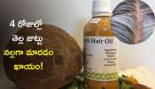  White Hair To Turn Black: ఈ నూనెతో తెల్ల జుట్టు కేవలం 4 రోజుల్లో నల్లగా మారడం ఖాయం!