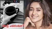 Ileana Dcruz Baby Bump: బేబీ బంప్ వీడియో షేర్ చేసిన ఇలియానా.. ఇంతకీ తండ్రెవరు?