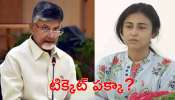 Tarakaratna Wife: భర్త చివరి కోరిక తీర్చేందుకు రంగంలోకి అలేఖ్య రెడ్డి.. అక్కడి నుంచి ఎమ్మెల్యేగా?