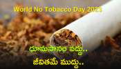 World No Tobacco Day 2023: ధూమపానం వద్దు.. జీవితమే ముద్దు.. ఈరోజే పొగాకు వ్యతిరేక దినోత్సవం