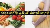Foods To Avoid On Pregnancy: గర్భంతో ఉన్నప్పుడు తినకూడని ఆహార పదార్థాలు